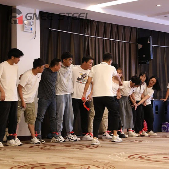 Electro Galvanized Steel Coil And Sheet